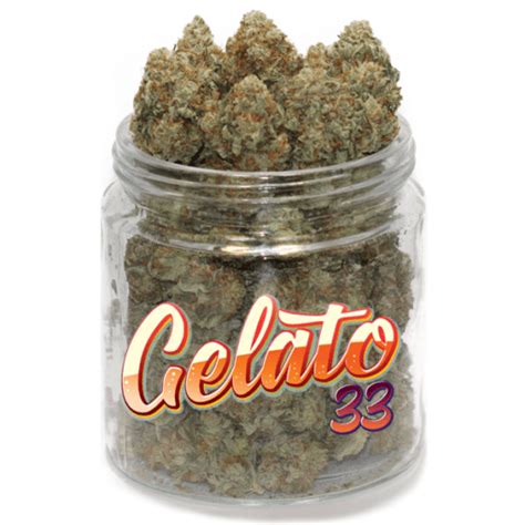 Gelato #33 Marijuana Strain - Marijuana for sale - ganja shop uk