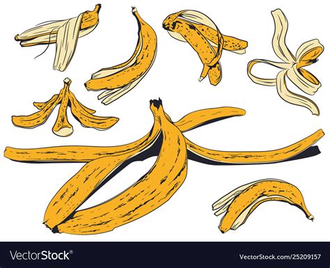 Set banana peel stock Royalty Free Vector Image