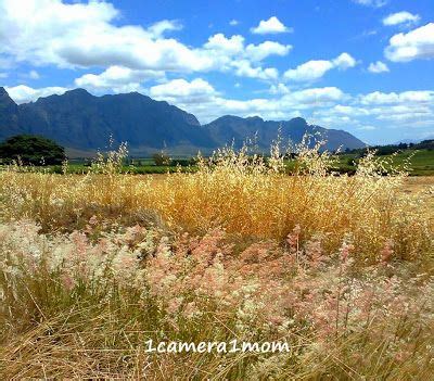 1camera1mom: The beautiful Slanghoek Valley, wine region, South Africa | Wine region, Travel ...