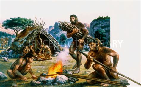 Early humans timeline | Timetoast timelines