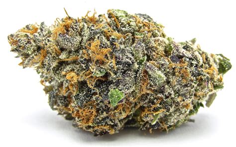 Mimosa Strain - Cannabis Review & Information - Flavor Fix