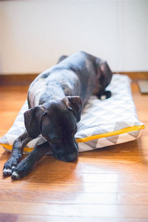 8 Super Cosy and Easy Dog Pillows to Make