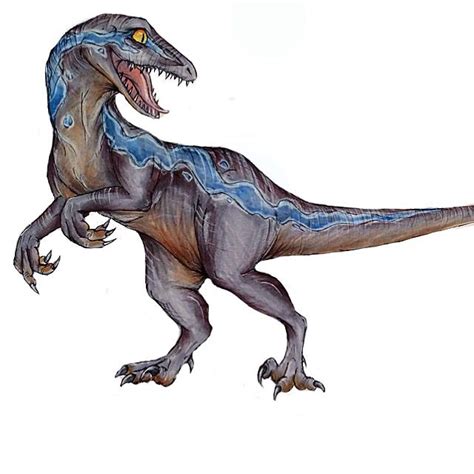 17 Best images about BLUE the velociraptor on Pinterest | Jurassic ...