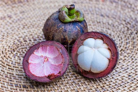 Mangosteen - Purple – Ross Creek Tropicals