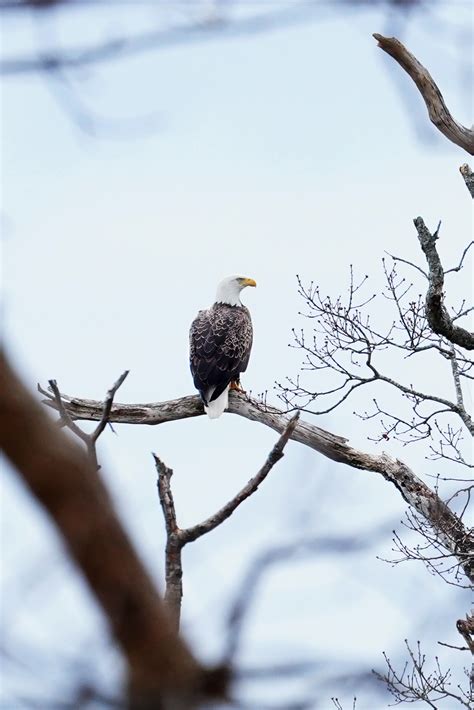 Keep Wildlife Wild - Fire Island National Seashore (U.S. National Park ...