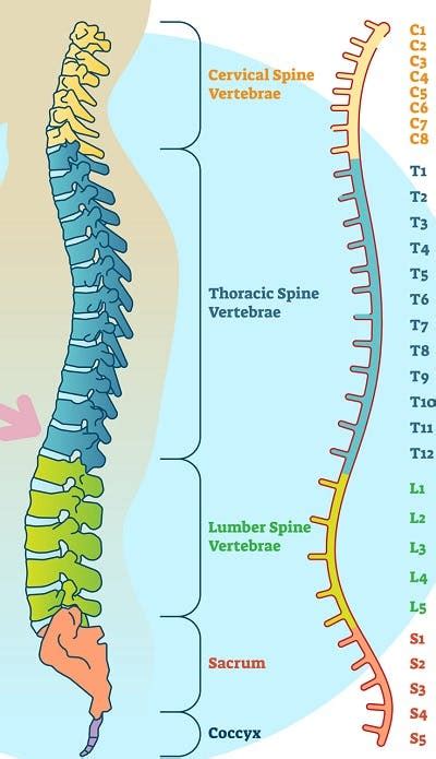 Types Of Shock Treatment