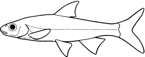 Minnow Coloring Page Coloring Pages