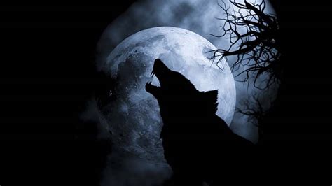 What is the meaning behind the Wolf Moon? | khou.com