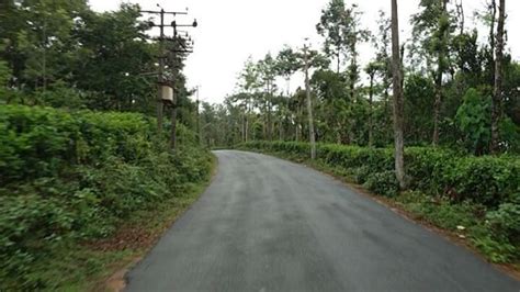 Honey with coffee reinforces climate resilience: Kodagu coffee estates' bee farms