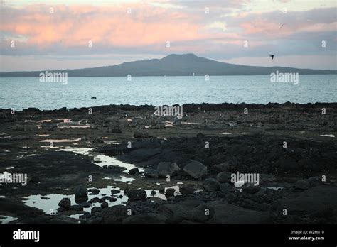 Iconic Rangitoto volcano on Rangitoto Island. Photo taken from tje North Shore, Auckland, New ...