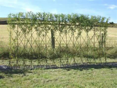 4 Beautiful Living Willow Fence Designs