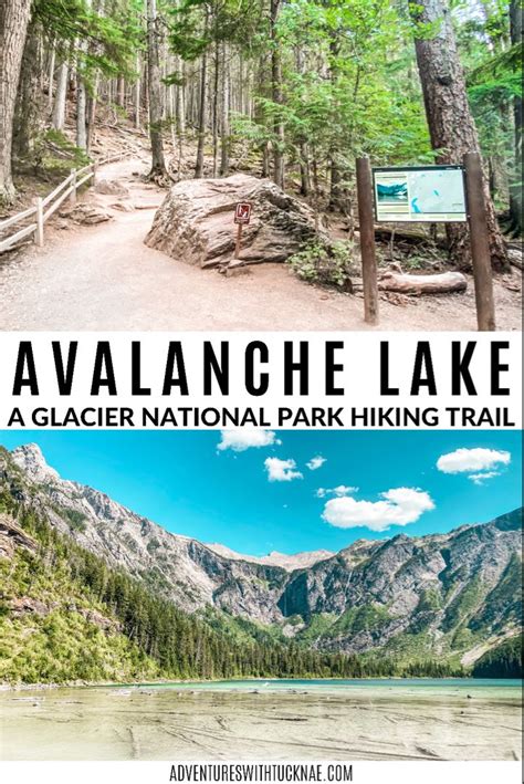 Avalanche Lake Hike in Glacier National Park | Glacier national park ...