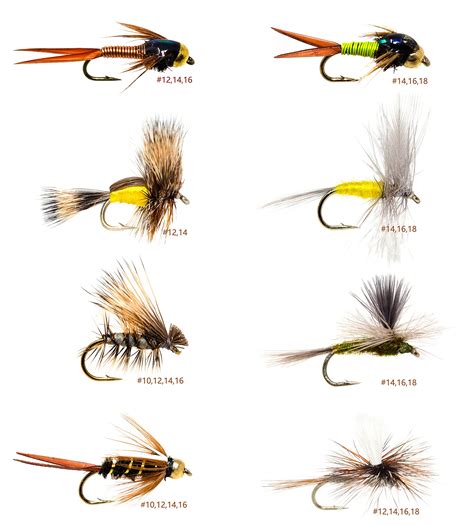 Buy Outdoor Planet Premium Fly Fishing Flies Assortment | Waterproof ...