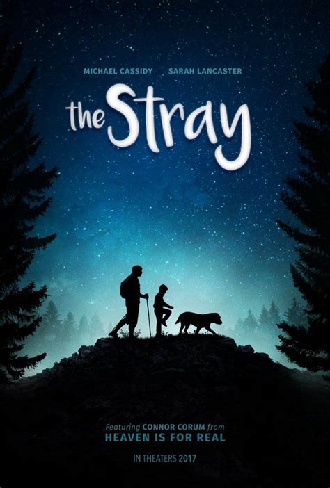 Watch And Download THE STRAY free | Best drama movies, English movies ...