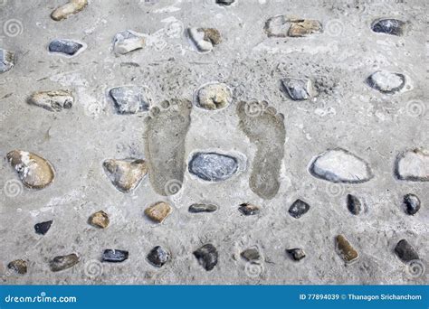 Footprints on the cement. stock image. Image of human - 77894039