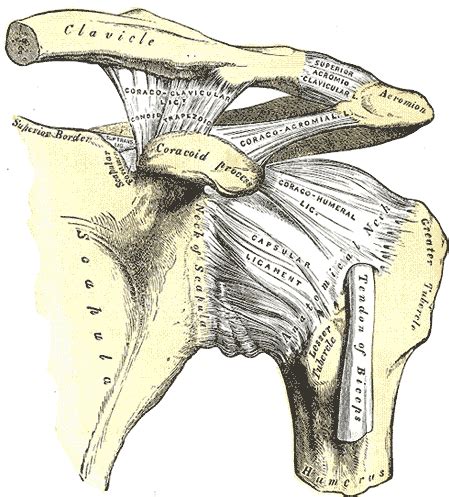 Arthroscopic Latarjet - Shoulder Clinic