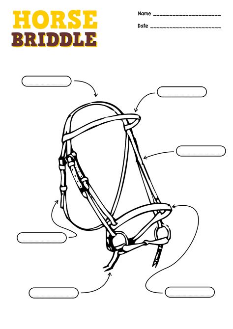 8 Best Images of Points Of The Horse Worksheet - Label the Horse ...