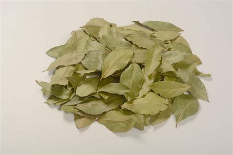 Laurel Leaves | Uyar Spice | Herbs and Spices, seeds, oregano, thyme, laurel leaves, rosemary ...