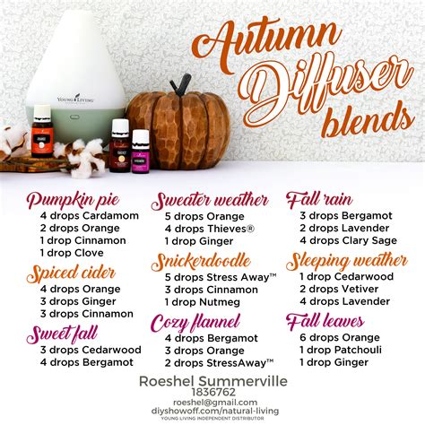 Essential Oils Ideas and Recipes for Fall - DIY Show Off ™ - DIY Decorating and Home Improvement ...