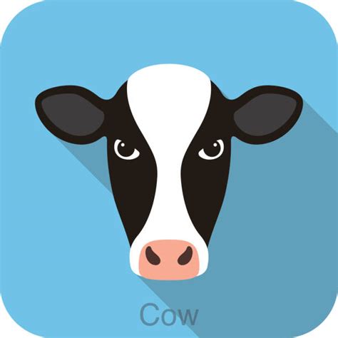 Top 60 Cow Head Clip Art, Vector Graphics and Illustrations - iStock