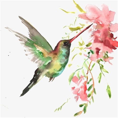 a watercolor painting of a hummingbird with pink flowers on it's back