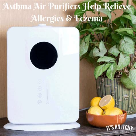 Asthma Air Purifiers Help Relieve Allergies & Eczema