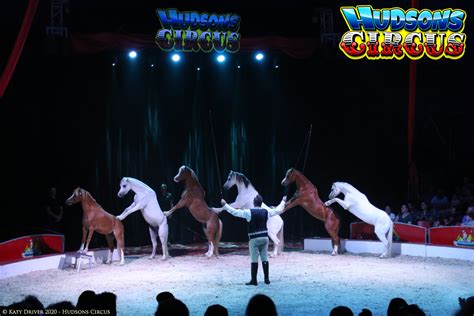 Circus | Hudsons Circus | Gallery