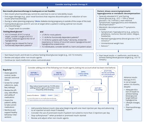 Lantus Insulin Storage Guidelines | Dandk Organizer