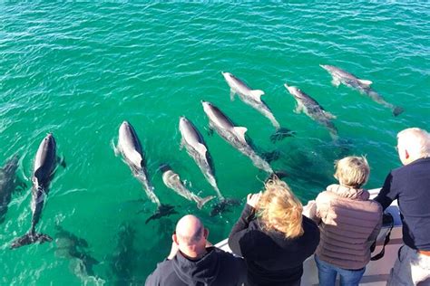 Kangaroo Island Short Coastal Wildlife Cruise 2024