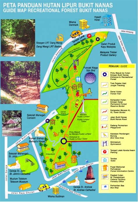 KL Forest Eco Park, Kuala Lumpur | Forest reserves, Forest, Kuala lumpur