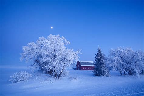 Manitoba Winter Stock Photos, Pictures & Royalty-Free Images - iStock