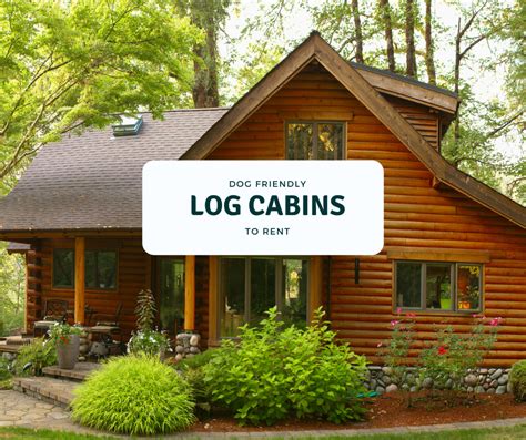 250+ Luxury Dog Friendly Log Cabins to Rent in the UK | DFG