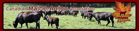 Canadian Maine Anjou Association