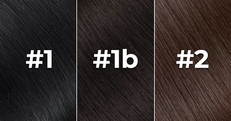 1b Vs 2 Hair Color: Which is Better for Black Woman BGMgirl