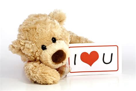 Teddy Bear With I Love You Sign by Blink Images