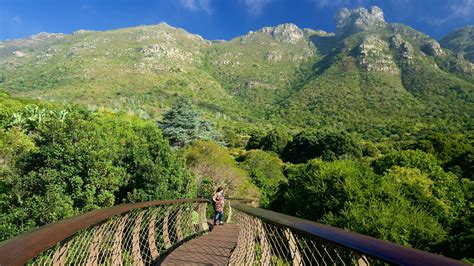 Kirstenbosch National Botanical Gardens Pictures: View Photos & Images of Kirstenbosch National ...