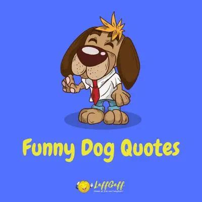 60 Funny Dog Quotes And Puppy Quotes | LaffGaff