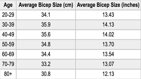 13 Inch Biceps Flexed: Big or Small?