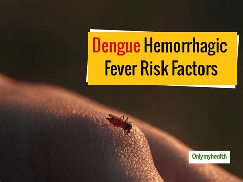 Dengue Hemorrhagic Fever Symptoms