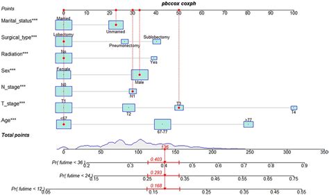 Frontiers | A nomogram for predicting postoperative overall survival of patients with lung ...