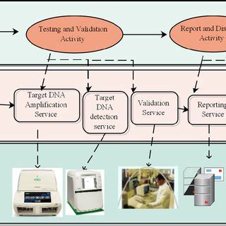 Diagnostic Virology Laboratory procedure | Download Scientific Diagram