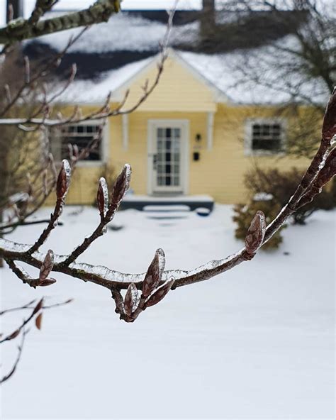 Snow in Portland: Urban skiing & sledging for groceries