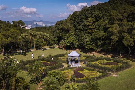 VICTORIA PEAK GARDEN - Experience a Tranquil Oasis in Hong Kong's ...