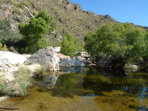 Sabino Canyon – My Favorite Westerns