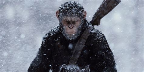 ‘Kingdom of the Planet of the Apes’ release date set for 2024 | Daily News Hack