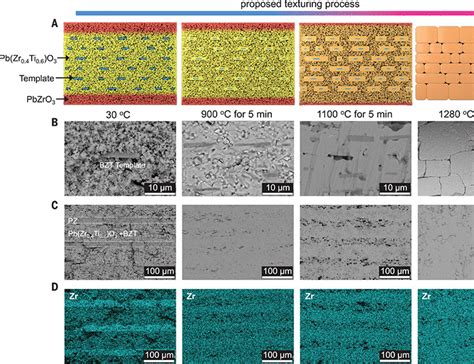 Lead zirconate titanate ceramics with aligned crystallite grains | Science