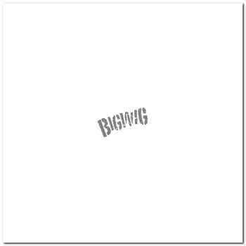 Bigwig Band Vinyl Decal Sticker – NiceDecal