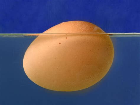 Make an egg float in water - Zigya: For the Curious Learner