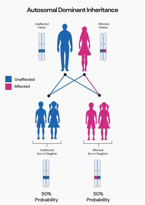 Familial Hemiplegic Migraine: 2023 Study Identifies 2 New Genes