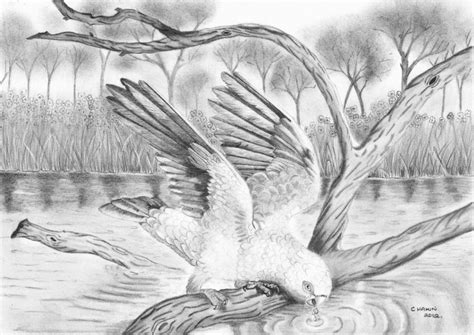 drawings of scenery - Google Search | Beautiful pencil sketches, Beautiful pencil drawings ...